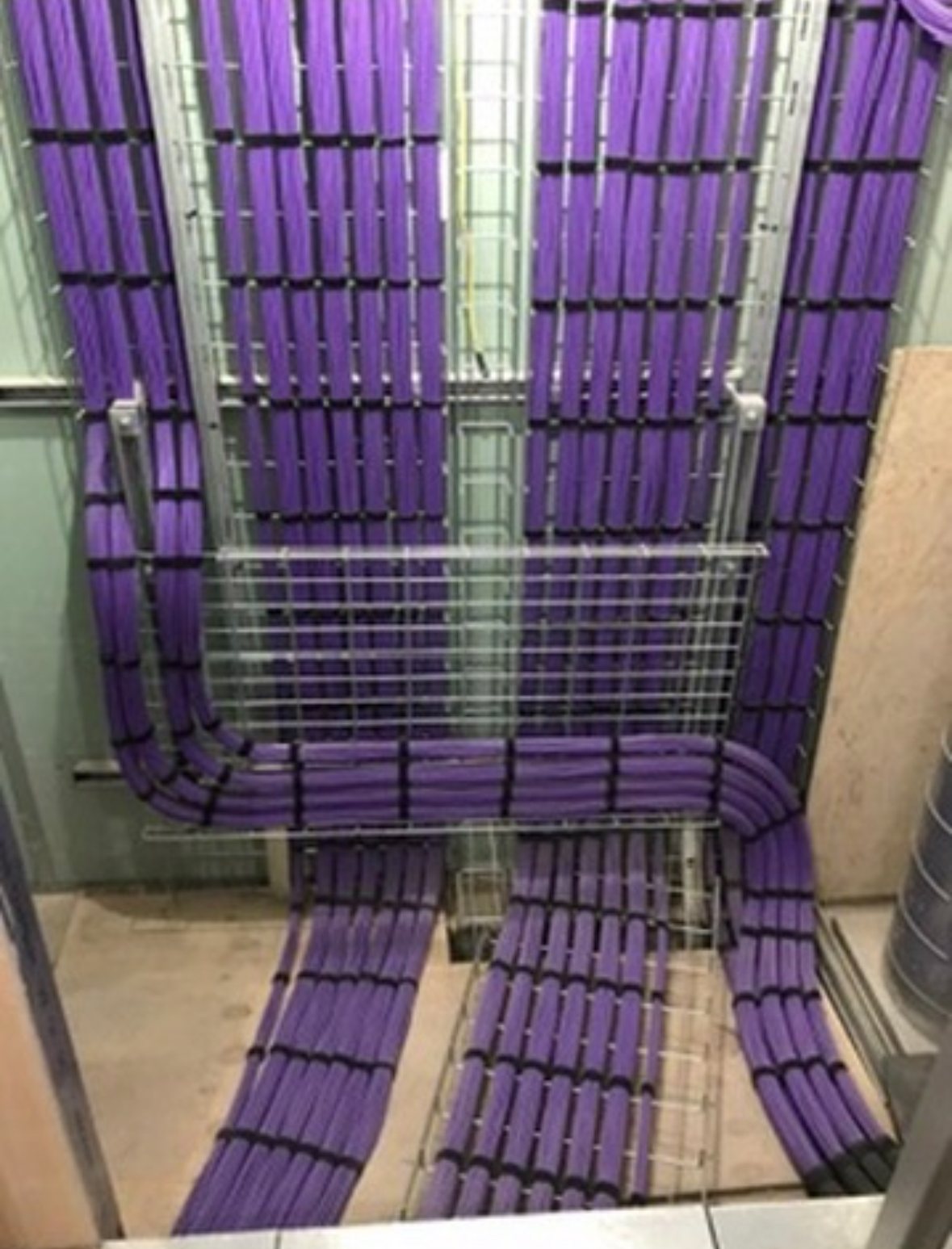 Neatly bundled structured cabling routed through overhead cable trays